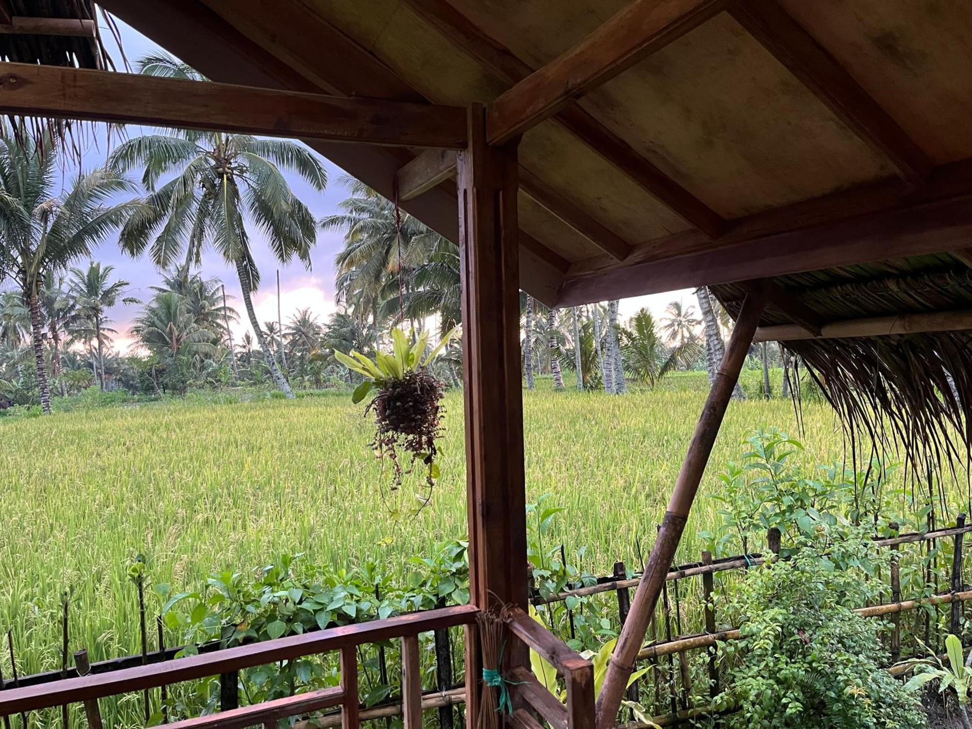 Syaqila Homestay Lombok Tetebatu Exterior photo