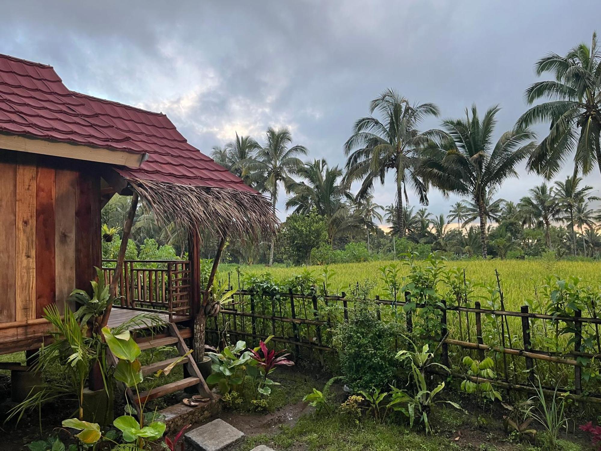 Syaqila Homestay Lombok Tetebatu Exterior photo
