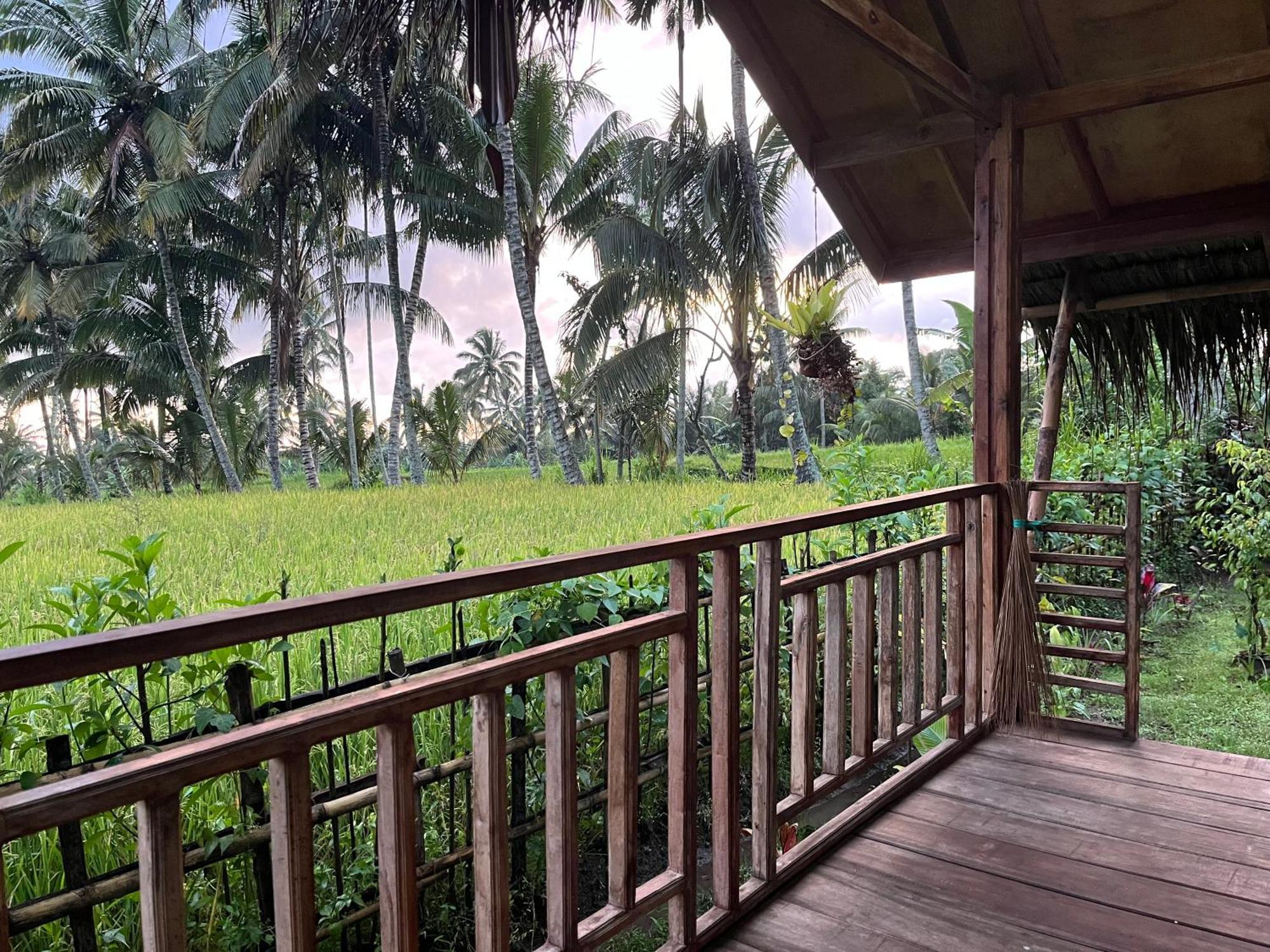 Syaqila Homestay Lombok Tetebatu Exterior photo